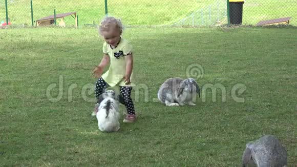 动物园里的女婴和兔子玩耍是在暑假4公里视频的预览图
