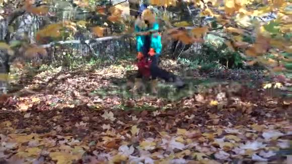 女园丁吹着院子里美丽的郁金香树下的叶子视频的预览图