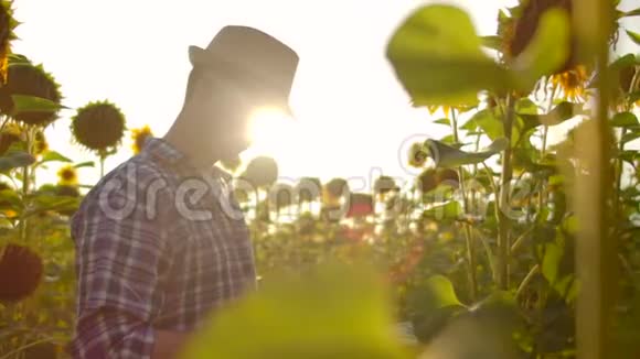 年轻的学生生物学家在自然界中使用向日葵视频的预览图
