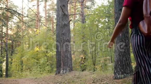 夏季在森林里散步的快乐游客的后景视频的预览图