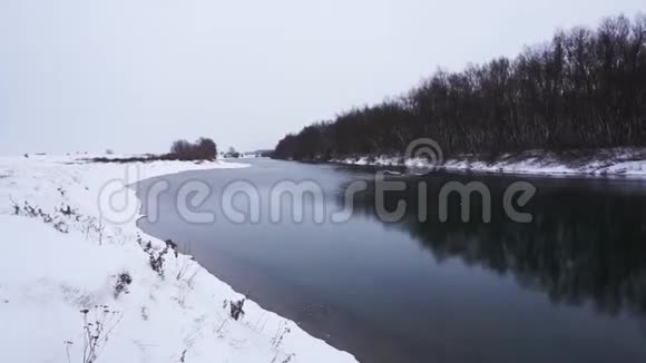 在冬天平静的自然日视频的预览图