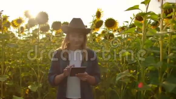 散步的女人正在田野上观察夏日的向日葵视频的预览图