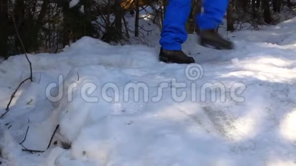 老妇人雪中散步视频的预览图