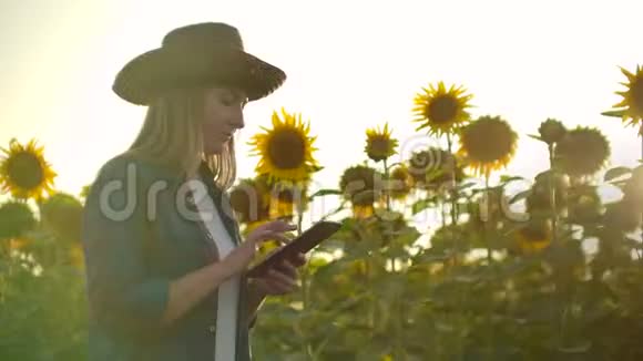 一位带着平板电脑的女农民带着向日葵穿过田野把数据输入平板电脑然后视频的预览图