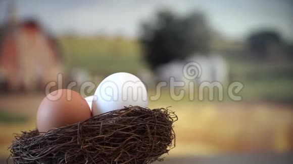 巢中的鸡蛋视频的预览图
