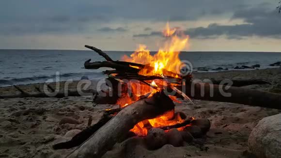 黄昏时海滩上的火视频的预览图