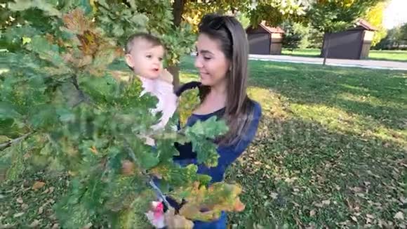 妈妈和女儿在秋天妈妈手上漂亮的十个月宝宝视频的预览图