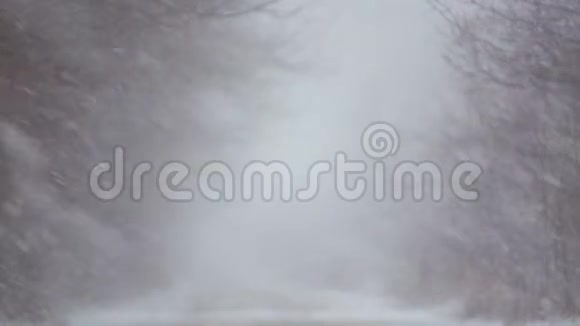 暴风雪中的森林冬季道路视频的预览图