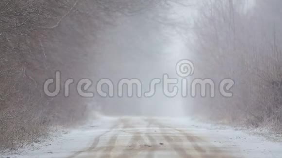 暴风雪中的森林冬季道路视频的预览图