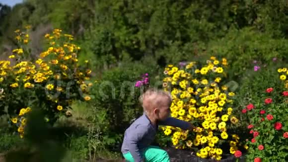 幼儿幼儿欣赏美丽盛开的花圃视频的预览图