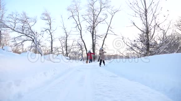 幸福的家庭观念孩子们在森林里冬天在雪地里玩狗幸福的家庭在散步他们的宠物两个女孩视频的预览图