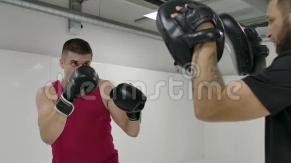 在白色房间的拳击训练课上一个人用手套的手拍打教练爪子执行偏差和视频的预览图