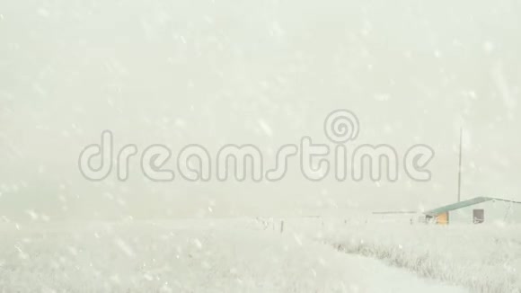 降雪时的农田视频的预览图