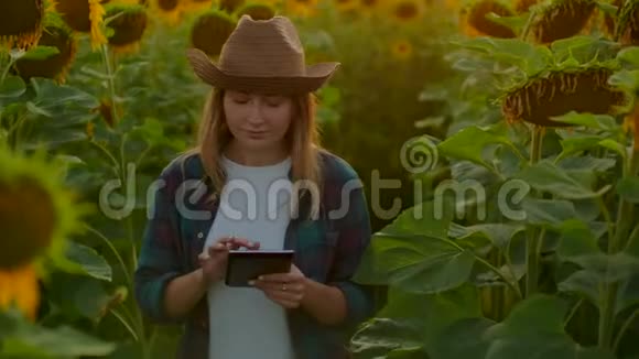 女农民经理用黄色的向日葵在地里干活视频的预览图
