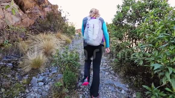 一个女人走在狭窄的山路上在安第斯山脉的高处慢动作视频的预览图