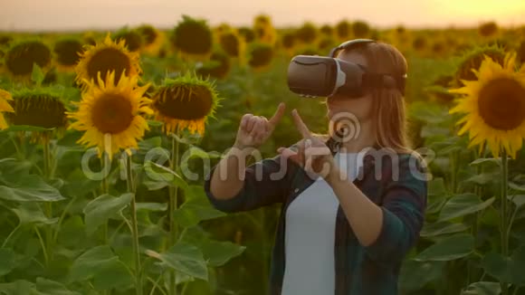 在日落时分女学生正在大向日葵之间戴着VR眼镜工作视频的预览图