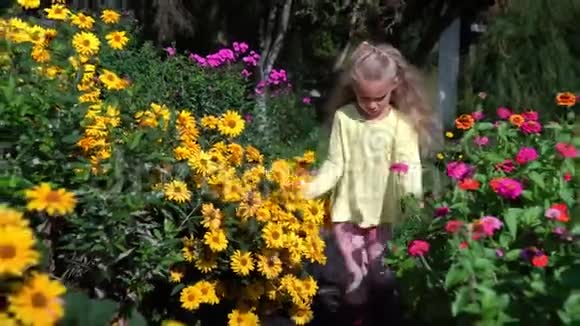 小快乐的女孩走在花园里五颜六色的花坛之间视频的预览图