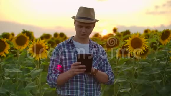夏日傍晚一位农民经理带着向日葵在ipad上工作视频的预览图