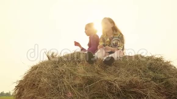 傍晚夕阳背景下两个十几岁的女孩坐在干草堆上少女们在收获时在干草堆上放松视频的预览图