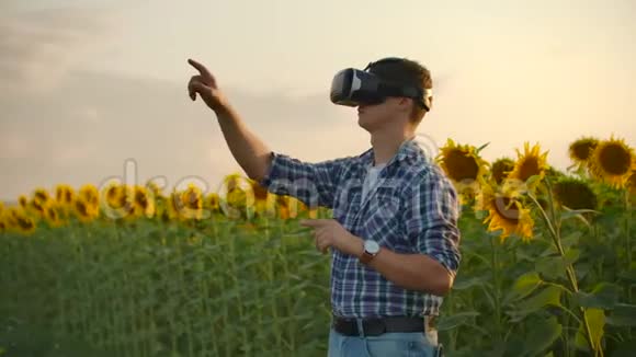 自然向日葵领域虚拟现实模型视频的预览图
