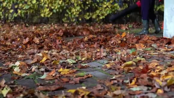 秋季用吹叶器清理叶片的园丁特写视频的预览图
