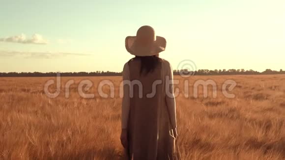 成年白种人妇女带着金色的小麦在田野上漫步视频的预览图