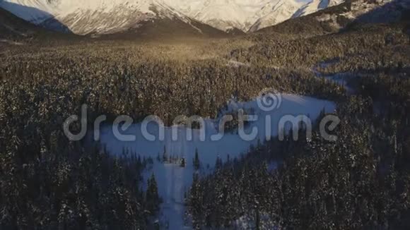 在冬季森林和雪覆盖的田野视频的预览图