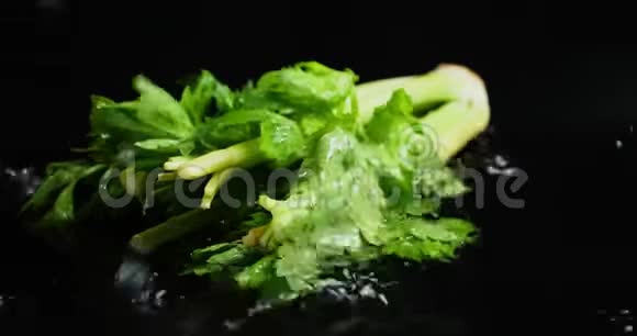 一串新鲜的芹菜掉下来的水滴视频的预览图