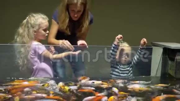 有孩子的女人在大水族馆里喂五颜六色的鱼万向节运动视频的预览图