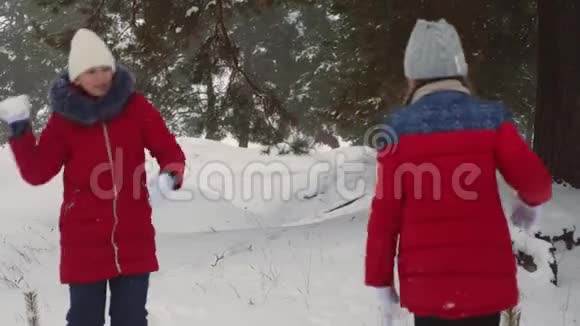 孩子们圣诞节假期在寒冷的冬日里孩子们在松树林里玩雪球和欢笑视频的预览图