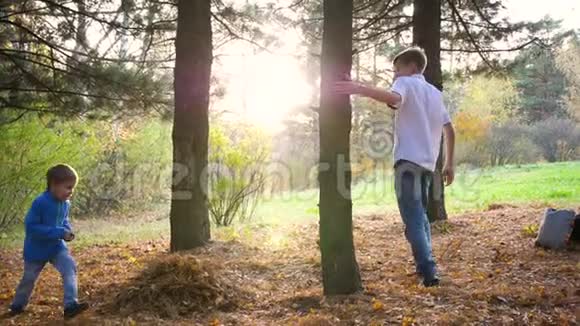 一个少年和一个孩子玩在公园里绕着一棵树跑追上他太阳光线穿透了松树视频的预览图