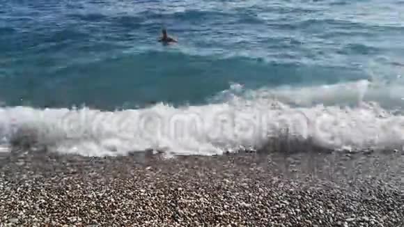 黑头发的年轻人以爬行的方式在海里游泳视频的预览图