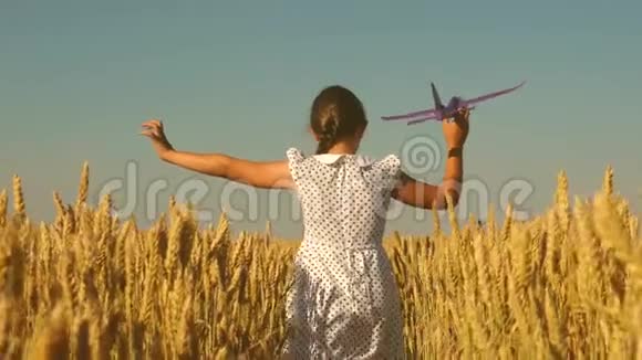 快乐的女孩带着玩具飞机在蓝天下的麦田里奔跑孩子们玩玩具飞机少年梦想视频的预览图