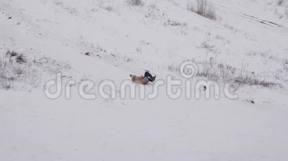 女孩在雪中滑下山坡女孩在公园里冬天玩冬季运动会寒冷的气候条件白雪公主视频的预览图