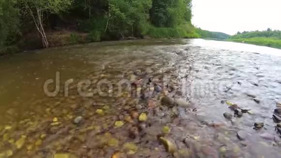 卡马河急流的一个岩石岛视频的预览图