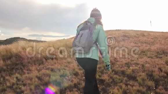 女人在玻利维亚的安第斯山脉高高地拾起一朵花视频的预览图
