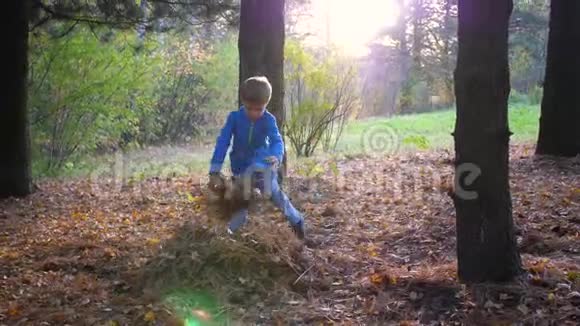 孩子在公园里玩把树叶扔起来太阳光线穿透松林欢笑和欢乐视频的预览图