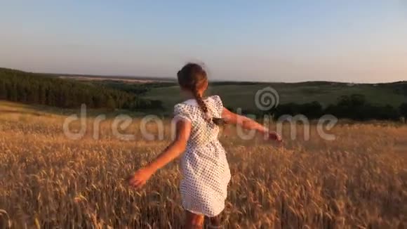 快乐的小女孩在成熟的麦子里和美丽的山谷玩耍跳舞慢动作孩子跟着跑视频的预览图