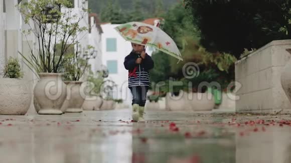 一个穿着橡胶靴的孩子在雨中手里拿着喇叭走路视频的预览图