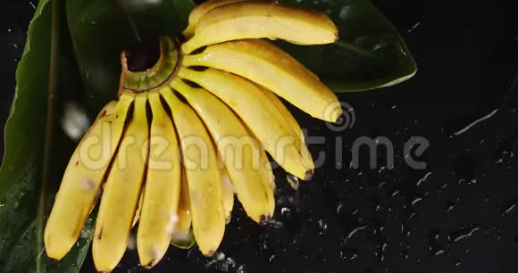 一串新鲜的香蕉叶子掉下来的水珠视频的预览图