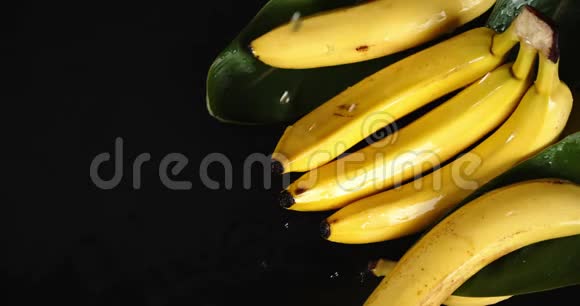 新鲜香蕉叶落水滴视频的预览图