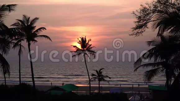 美丽的热带日落在海上棕榈树和太阳视频的预览图