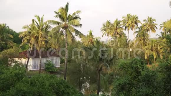 湖光山色椰子树和房子视频的预览图