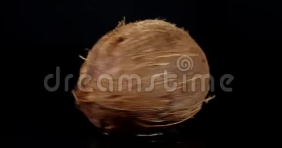 一个新鲜的整个椰子慢慢旋转视频的预览图
