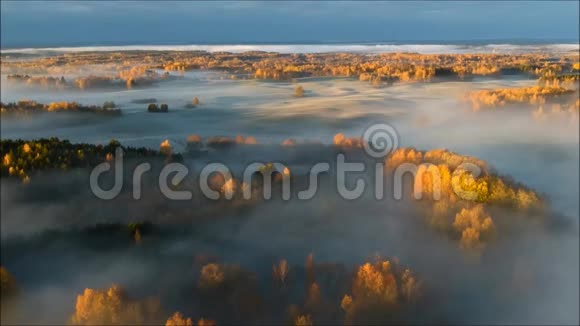 早晨日出时浓雾的鸟瞰图视频的预览图