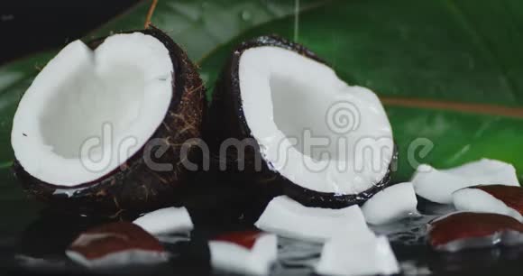 椰子掉落的水滴视频的预览图