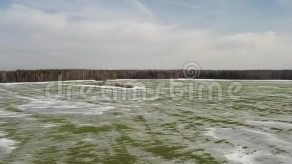 雪下的草田间冷冻植物视频的预览图