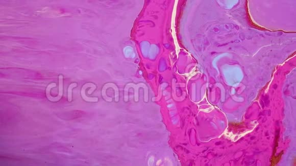 粉色紫色和蓝色亚克力流动画运动混合了丰富多彩的背景流动表面的液体油漆图案视频的预览图