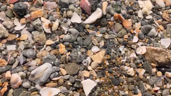 海水中的鹅卵石在阳光下闪闪发光视频的预览图