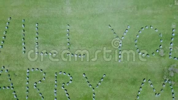 在绿色草坪上的鲜花中求婚从空中无人机鸟瞰视频的预览图